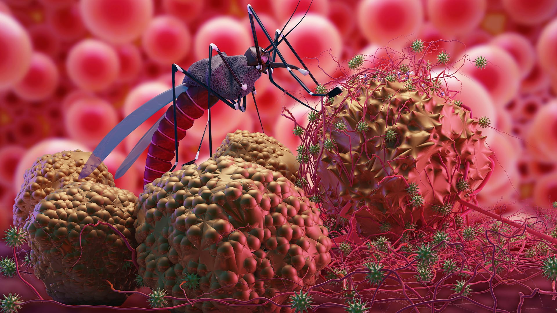 Малярия: одно из самых распространенных инфекционных заболеваний