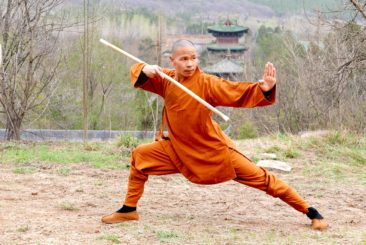 Почему так популярно боевое искусство Кунг Фу?