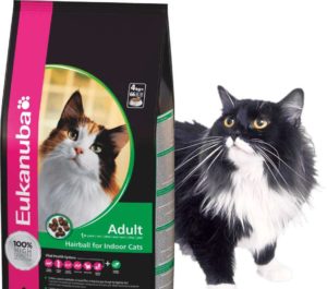 Корм для кошки: рекомендации ветеринара