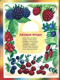 Стихи про ягоды: познакомят малышей с большим разнообразием природного лакомства и помогут выучить их название
