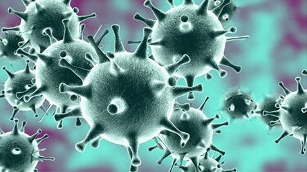 Пандемия в человеческой популяции заканчивается, считает иммунолог