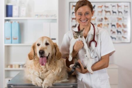 Как выбрать надежную ветеринарную аптеку?