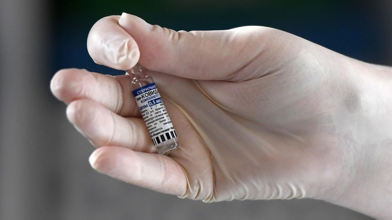 Гинцбург назвал "Спутник V" универсальной вакциной от COVID-19