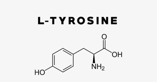 В чем польза L-тирозина для организма человека?