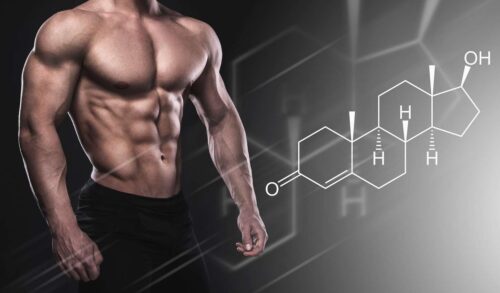What is testosterone and what is it for