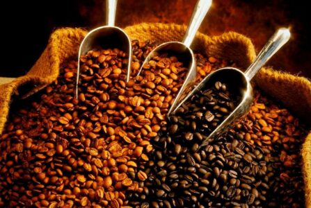 Как правильно выбрать хороший кофе в зернах?