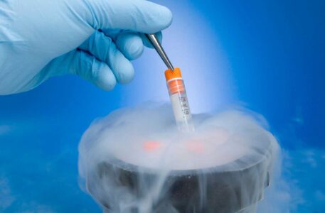 Криоконсервация эмбрионов: особенности технологии