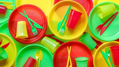 Разновидности и выбор одноразовой посуды