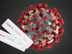 Как проходит процедура экспресс-теста на COVID-19?