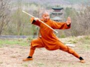 Почему так популярно боевое искусство Кунг Фу?