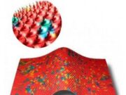 Методика лечения аппликаторами Ляпко