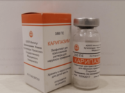 Карипазим при грыже позвоночника – как работает?