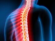 Наиболее распространенные заболевания позвоночника