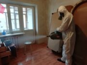 Обработка от клопов: способы уничтожения паразитов в квартире