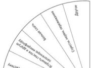 Как начать заниматься многомерной медициной?