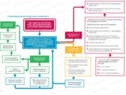 Софосбувир в лечении хронической HCV инфекции