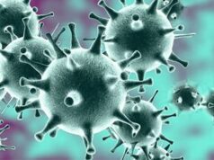 Пандемия в человеческой популяции заканчивается, считает иммунолог