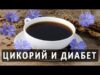 Цикорий при диабете: полезные свойства и влияние на организм