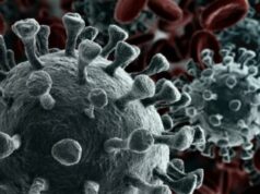 Подмосковный штаб по коронавирусу продолжает грубо агитировать за вакцинацию. Он репостнул плакат со словами «Чтоб в живых остаться, гнида, прививайся от ковида!»