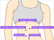 Почему болит бок с левой стороны?