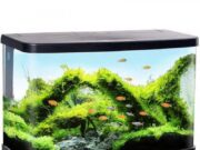 Виды аквариумов