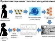 ПГД: что нужно знать перед принятием решения