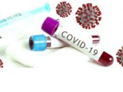 Где можно сдать анализ крови на антитела к коронавирусу?