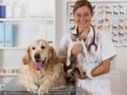 Как выбрать надежную ветеринарную аптеку?