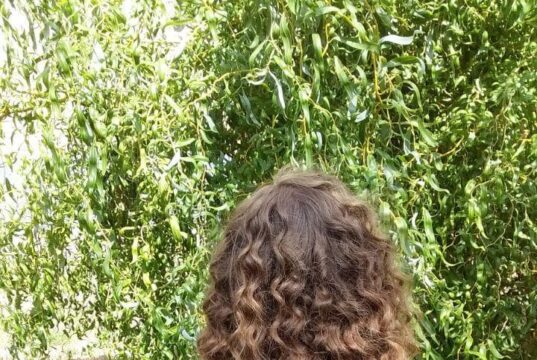 Какому мастеру доверить вечернюю прическу волос в Харькове