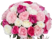 В чем преимущества заказа букетов онлайн?