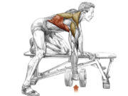 Как накачать спину: лучшие упражнения для спины