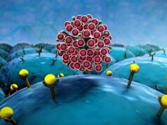 Распространение вируса COVID-19 в условиях загрязненного воздуха