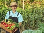 Ван Дайк Текникс: ведущие голландские технологии для хранения овощей