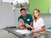 Выбор ветеринарной клиники