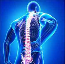 Парамедианная грыжа межпозвоночного диска: лечение и симптомы