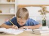 Как готовые домашние задания помогают школьнику?