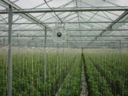 Вентилятор для теплицы с циркуляцией воздуха