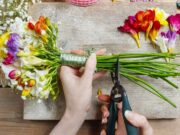 С чего необходимо начинать обучение во флористике?