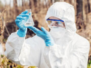 Порядок проведения экологической экспертизы