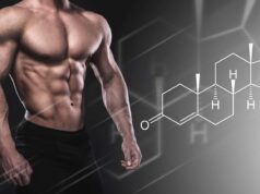 What is testosterone and what is it for