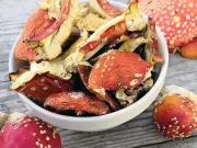 Лечебные свойства красного мухомора