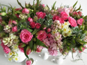 Энергетика живых цветов: как растения влияют на окружающую среду