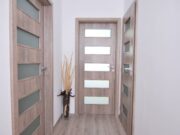 Межкомнатные двери из экошпона: плюсы и минусы