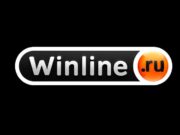 Как пройти регистрацию в букмекерской конторе Winline?