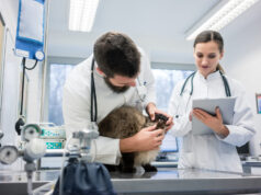 Какое ветеринарное оборудование необходимо для клиники?