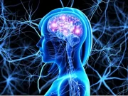 Биологические основы психических расстройств