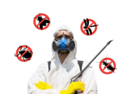 Дезинсекция помещений от насекомых